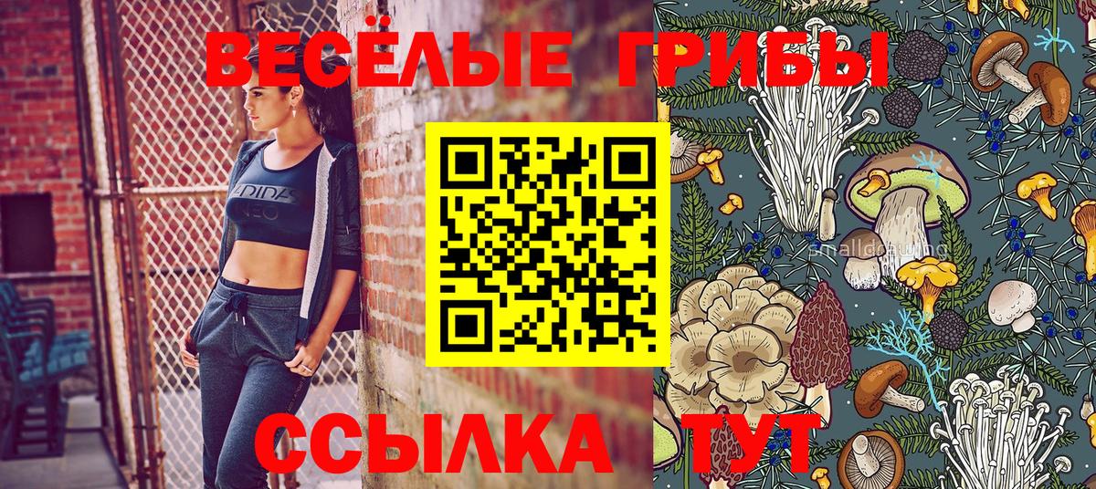 Псилоцибиновые грибы Psilocybe Киселёвск