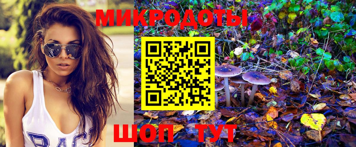 Псилоцибиновые грибы мицелий  где купить   Киселёвск  Вход с VPN 
